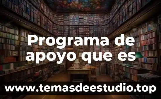 Que es el programa de pensamiento productivo 5 Programa de apoyo que es