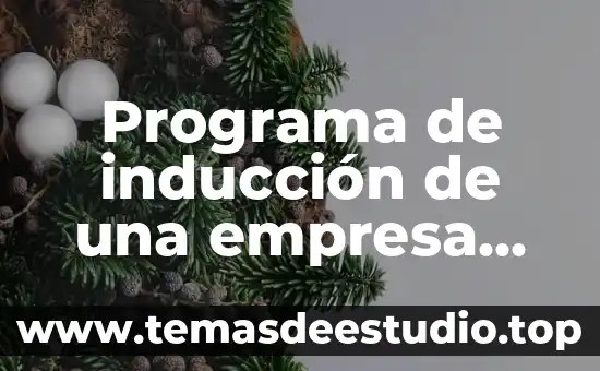 Qué es la inducción electromagnética de física 5 Programa de inducción de una empresa que es