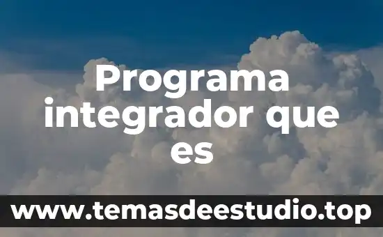 Programa integrador que es