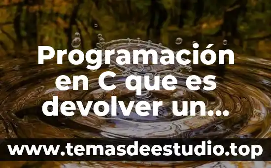 Que es documentacion externa en programacion 3 Programación en C que es devolver un parámetro