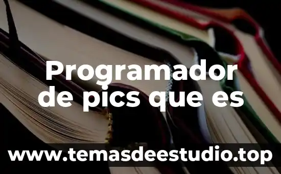 Que es el objetivo de la sociedad 6 Programador de pics que es