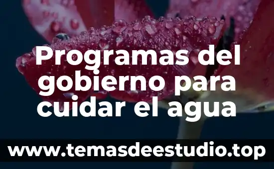 Por que es necesario cuidar la salud mental 4 Programas del gobierno para cuidar el agua
