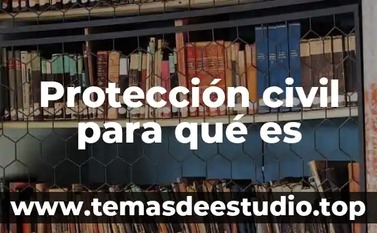 La protección social que es 8 Protección civil para qué es
