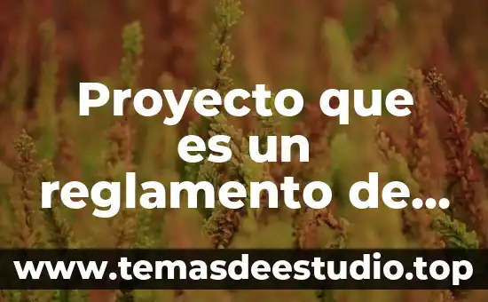 Que es un reglamento interno de l plantel 4 Proyecto que es un reglamento de secundaria