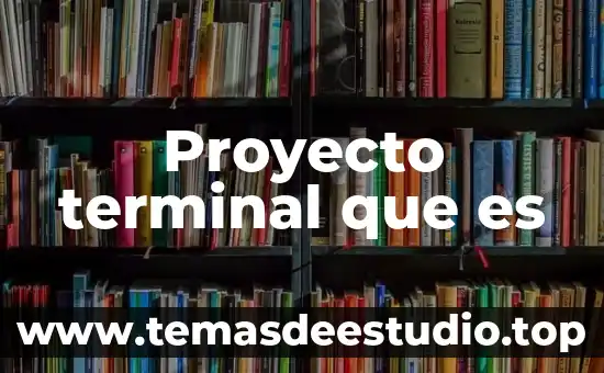 Proyecto terminal que es