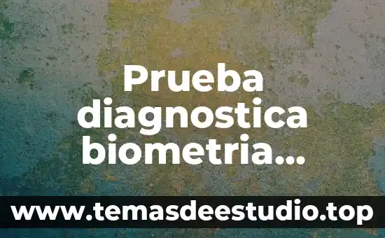 Que es quimica sanguinea y biometria he.cosmética 3 Prueba diagnostica biometria hematica que es