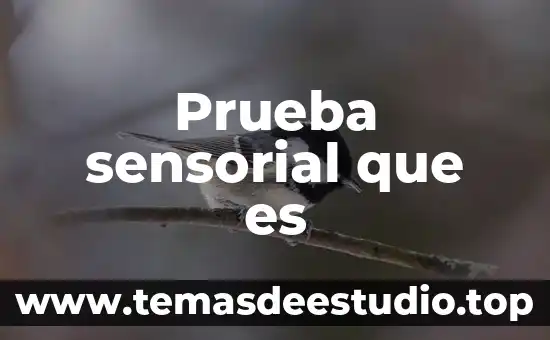 Que es la prueba del concepto 3 Prueba sensorial que es