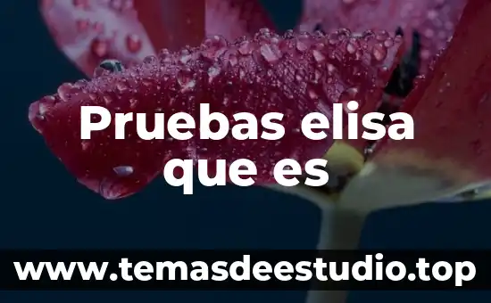 Que es la bandera humana 6 Pruebas elisa que es