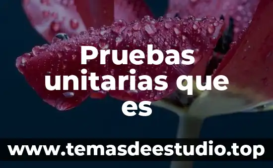 Pruebas unitarias que es