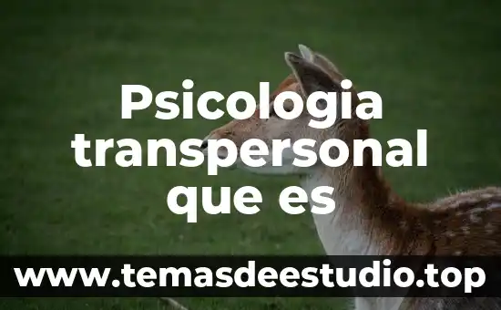 Que es diada en psicologia 3 Psicologia transpersonal que es