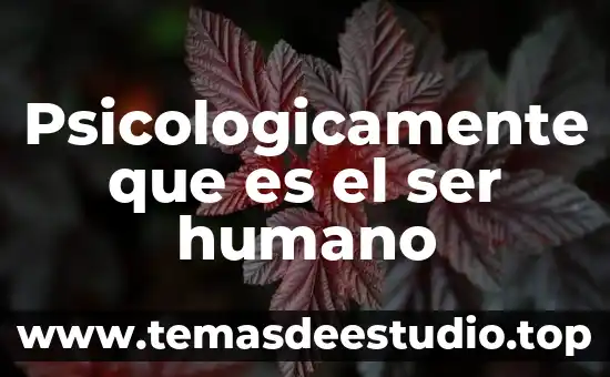 Psicologicamente que es el ser humano
