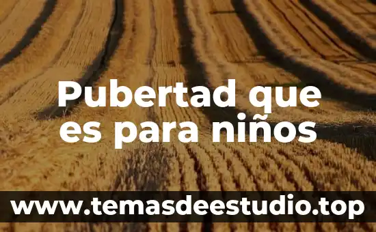 Pubertad que es para niños