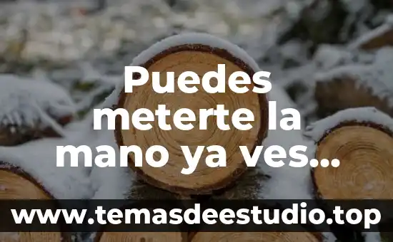 Que es una metáfora en el arte 7 Puedes meterte la mano ya ves que es un arte