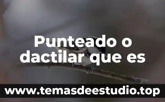 Que es ser perfecto para dios 5 Punteado o dactilar que es