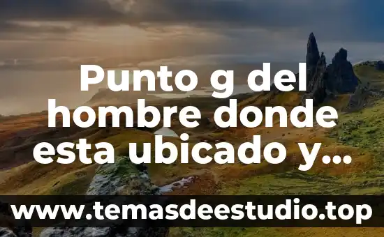 Void show grid graphics g para que es 5 Punto g del hombre donde esta ubicado y para que es
