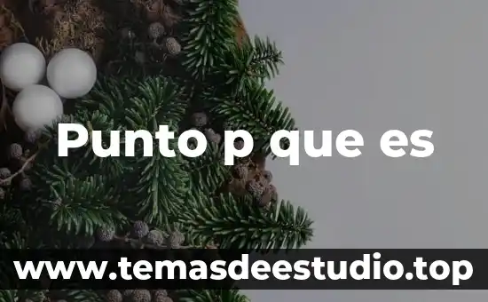 Punto p que es