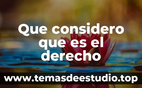 Qué es jurista en derecho 3 Que considero que es el derecho