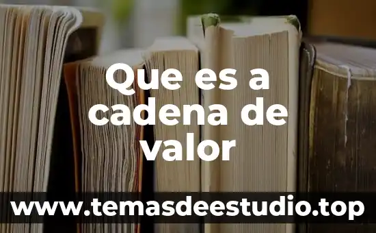 Que es valor y que significa 7 Que es a cadena de valor
