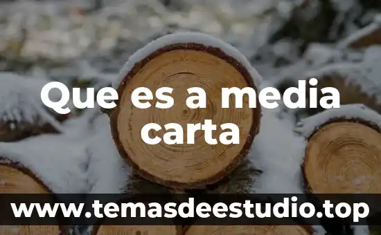 Social media management que es 3 Que es a media carta