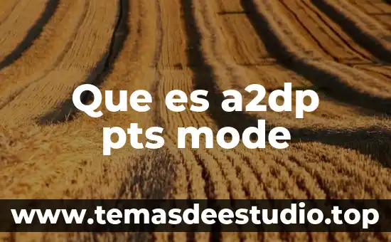 Que es el arte medieval resumen 6 Que es a2dp pts mode