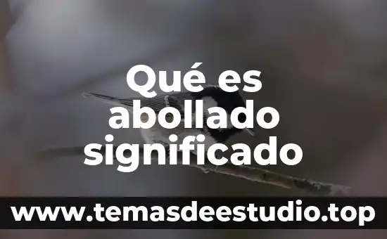 Qué es un tapete de felpa significado 5 Qué es abollado significado