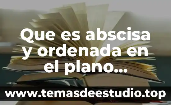2CO2 que es 4 Que es abscisa y ordenada en el plano cartesiano