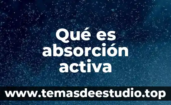 Que es la bandera humana 7 Qué es absorción activa