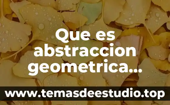 Que es abstraccion geometrica ejemplos