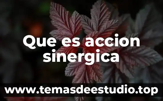 Que es accion sinergica
