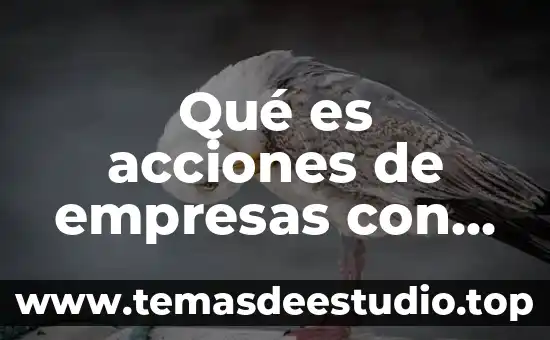 Qué es acciones de empresas con sostenibilidad
