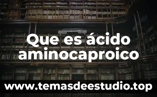 Xocoyoli que es 3 Que es ácido aminocaproico