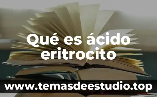 Qué es ácido eritrocito