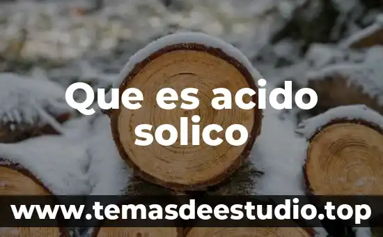 Qué es un ácido fosfolípido 6 Que es acido solico