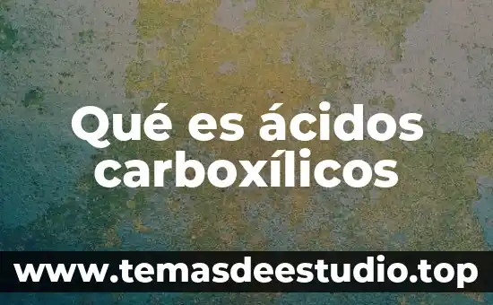 Sales de ácidos grasos de sodio que es 3 Qué es ácidos carboxílicos