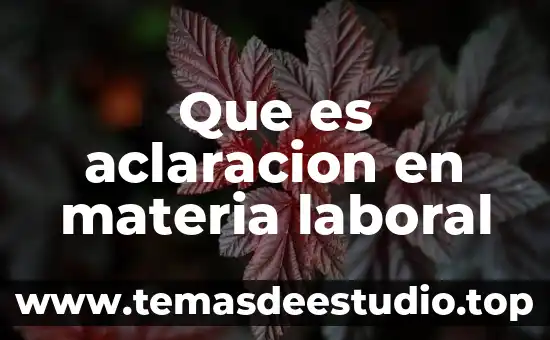 Que es aclaracion en materia laboral