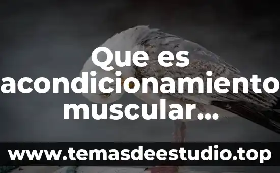 Que es velocidad definición para niños 3 Que es acondicionamiento muscular definicion