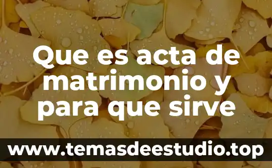 Qué es el matrimonio concepto jurídico 7 Que es acta de matrimonio y para que sirve