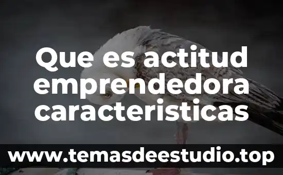 Que es una guia de autoestudio yahoo 5 Que es actitud emprendedora caracteristicas
