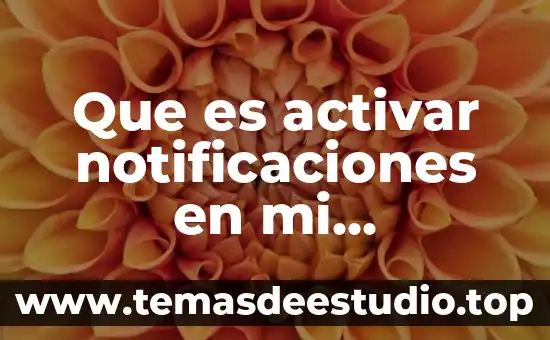 Que es activar notificaciones en mi computadora