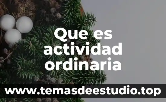 Que es actividad ordinaria