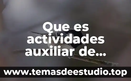 Por que es importante asignacion de actividades en una empresa 3 Que es actividades auxiliar de credito
