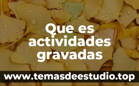 Que es actividades gravadas
