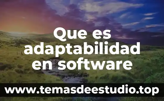 Que es pisapapeles en software 4 Que es adaptabilidad en software