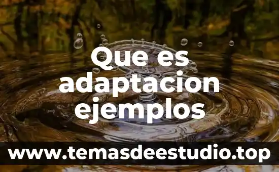 Que es medir en metrologia y ejemplos 5 Que es adaptacion ejemplos