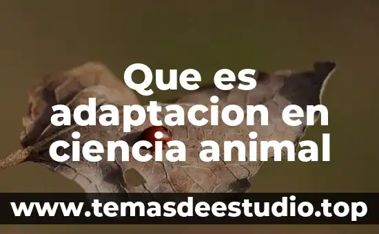 Que es la ciencia y tecnologia etica 3 Que es adaptacion en ciencia animal