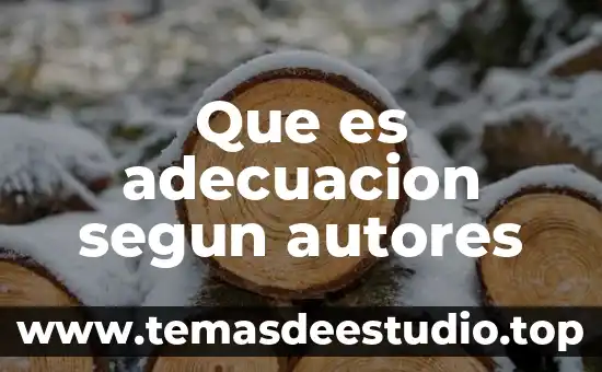 Autores explican que es un weblog 8 Que es adecuacion segun autores