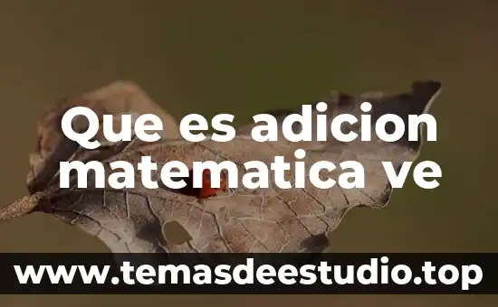 Que es una indeterminacion matemática y cuales son 3 Que es adicion matematica ve