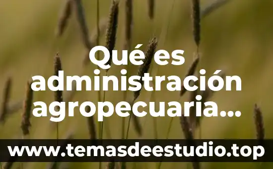 Que es la definición del machismo 3 Qué es administración agropecuaria definición
