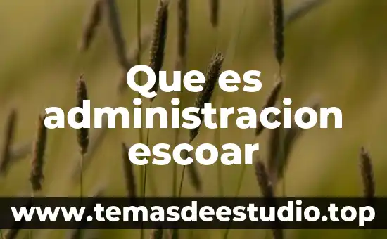 Que es administracion escoar
