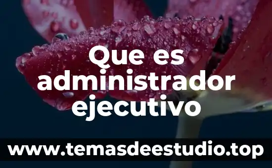 Que es administrador ejecutivo